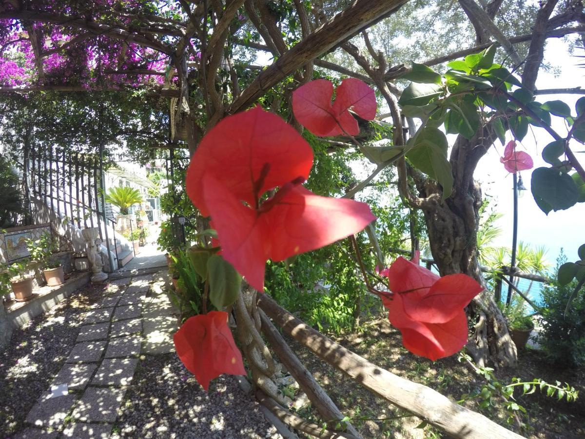 Casa Hermosa Amalfi Bagian luar foto